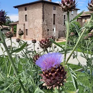 Corte Davini Alloggio per agriturismo